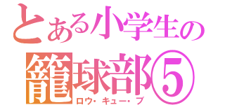 とある小学生の籠球部⑤（ロウ・キュー・ブ）