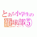 とある小学生の籠球部⑤（ロウ・キュー・ブ）