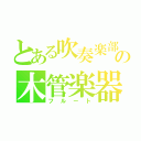 とある吹奏楽部の木管楽器（フルート）