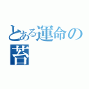 とある運命の苔　　（　　　　　　　）