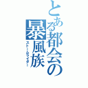 とある都会の暴風族（ストームライダー）