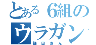 とある６組のウラガンキン（鎌田さん）