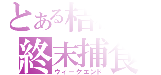 とある桔梗の終末捕食（ウィークエンド）