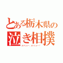 とある栃木県の泣き相撲（よいしょー、よいしょー！）