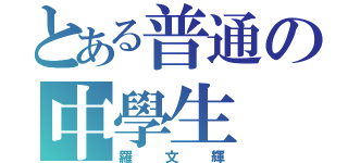 とある普通の中學生（羅文輝）