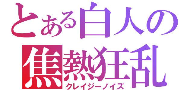 とある白人の焦熱狂乱（クレイジーノイズ）