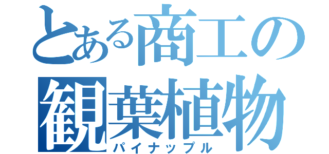 とある商工の観葉植物（パイナップル）