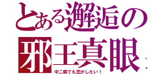 とある邂逅の邪王真眼（中二病でも恋がしたい！）