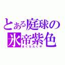 とある庭球の氷帝紫色（きくちたくや）