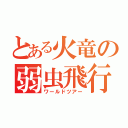 とある火竜の弱虫飛行（ワールドツアー）