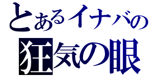 とあるイナバの狂気の眼（）