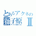 とあるアクネの獅子原Ⅱ（アクネ菌の王）