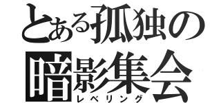 とある孤独の暗影集会（レベリング）