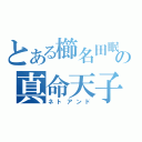 とある櫛名田眠の真命天子（ネトアンド）