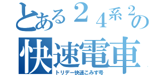 とある２４系２５型の快速電車（トリデー快速こみず号）