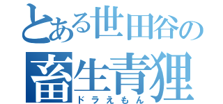 とある世田谷の畜生青狸（ドラえもん）