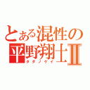 とある混性の平野翔士Ⅱ（タダノゲイ）