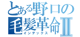 とある野口の毛髪革命Ⅱ（インデックス）