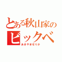 とある秋山家のビックベビー（あきやませりか）