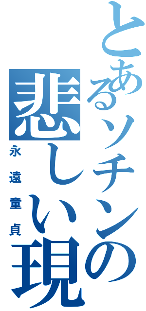 とあるソチンの悲しい現在（永遠童貞）