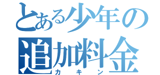 とある少年の追加料金（カキン）