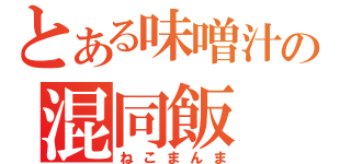 とある味噌汁の混同飯（ねこまんま）