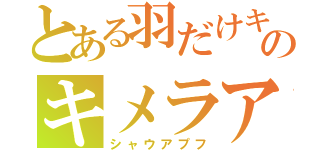 とある羽だけキレイのキメラアント（シャウアプフ）