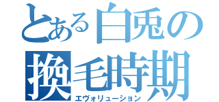 とある白兎の換毛時期（エヴォリューション）