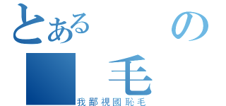 とある戰紀の國恥毛（我鄙視國恥毛）