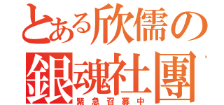 とある欣儒の銀魂社團（緊 急 召 募 中）