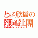 とある欣儒の銀魂社團（緊 急 召 募 中）