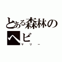 とある森林のヘビ（マリー）