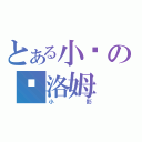 とある小诺の库洛姆（小影）