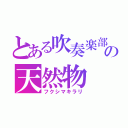 とある吹奏楽部の天然物（フクシマキラリ）