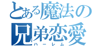 とある魔法の兄弟恋愛（ハーレム）