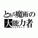 とある魔術の大能力者（ＬＥＶＥＬ４）