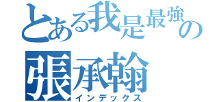 とある我是最強的の張承翰（インデックス）