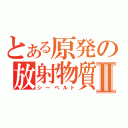 とある原発の放射物質Ⅱ（シーベルト）