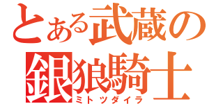 とある武蔵の銀狼騎士（ミトツダイラ）