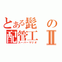 とある髭の配管工Ⅱ（スーパーマリオ）