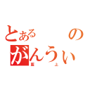 とあるのがんうぃ（藍上）