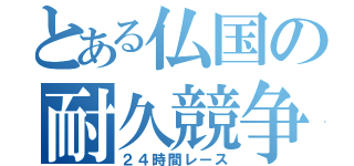 とある仏国の耐久競争（２４時間レース）