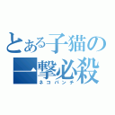 とある子猫の一撃必殺（ネコパンチ）