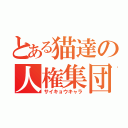 とある猫達の人権集団（サイキョウキャラ）