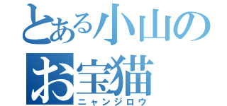 とある小山のお宝猫（ニャンジロウ）