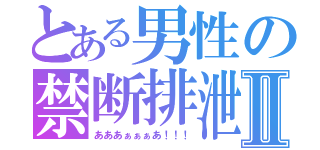 とある男性の禁断排泄Ⅱ（あああぁぁぁあ！！！）