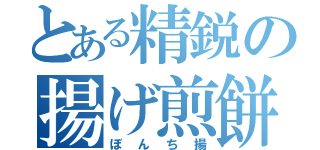 とある精鋭の揚げ煎餅（ぼんち揚）