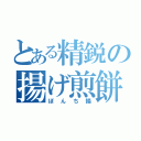 とある精鋭の揚げ煎餅（ぼんち揚）