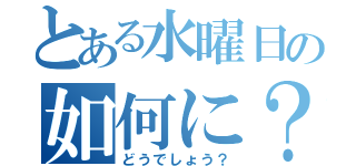 とある水曜日の如何に？（どうでしょう？）