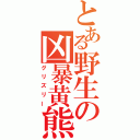 とある野生の凶暴黄熊（グリズリー）